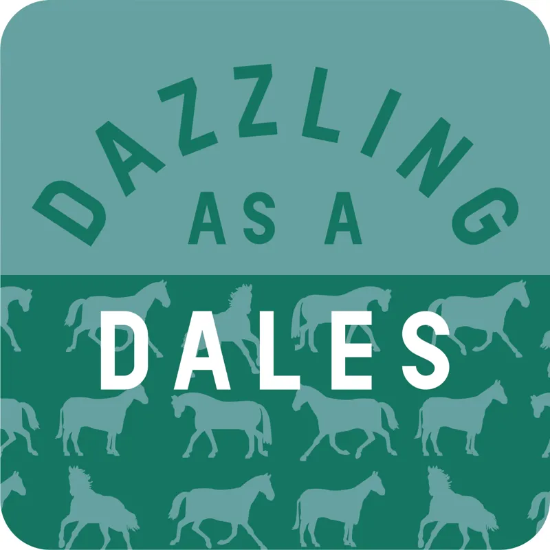 Gubblecote Dazzling as a Dales Coaster